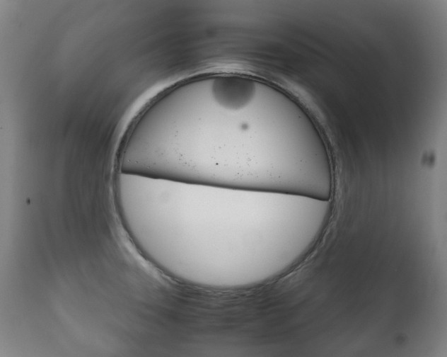 X0000111781331200907230940