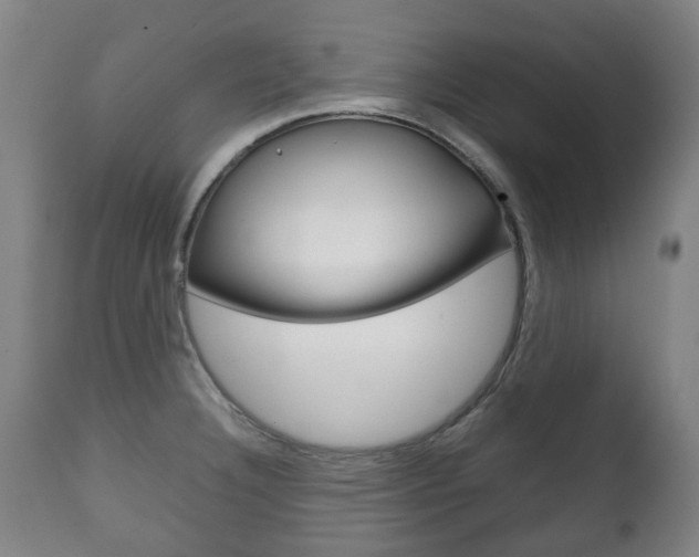 X0000111781332200907230940