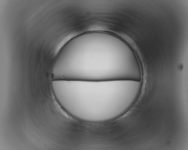 X0000111781337200907230940