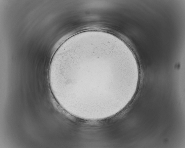 X0000111781338200907230940
