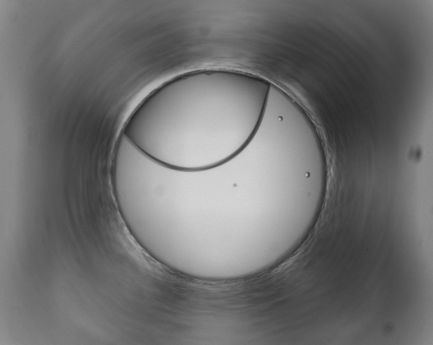 X0000111781340200907230940