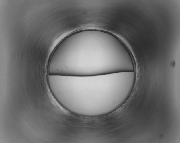 X0000111781341200907230940