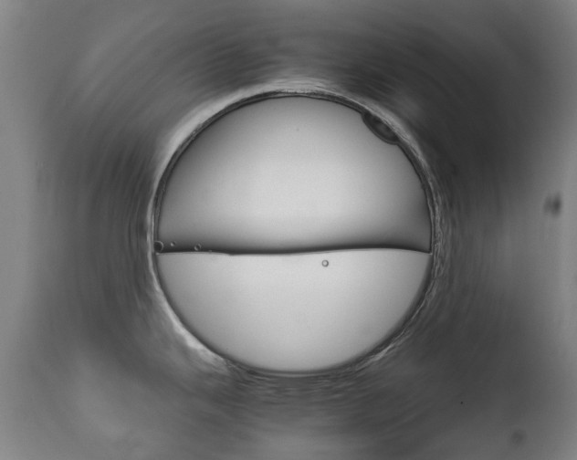 X0000111781343200907230940