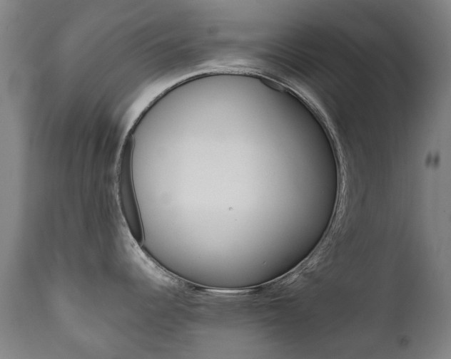 X0000111781344200907230940