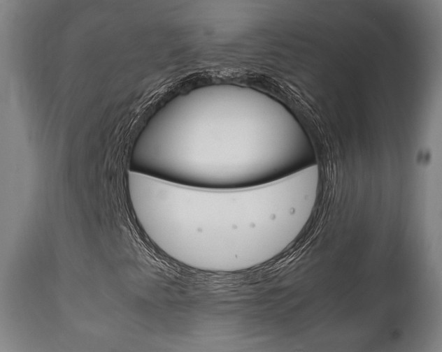 X0000111781345200907230940
