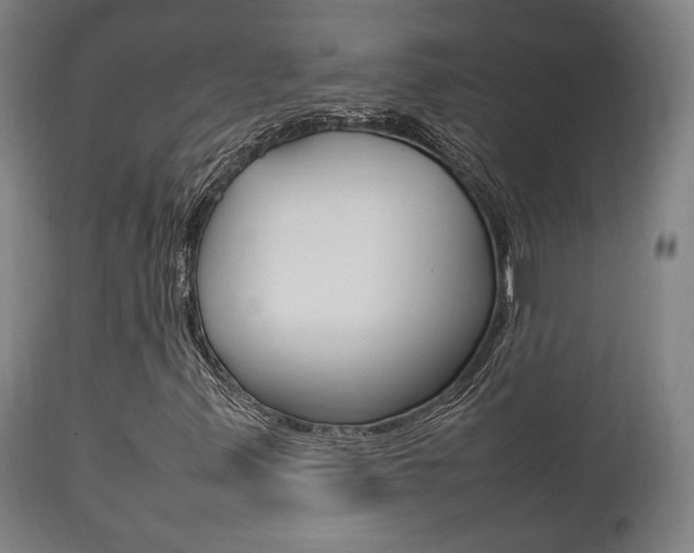 X0000111781347200907230940