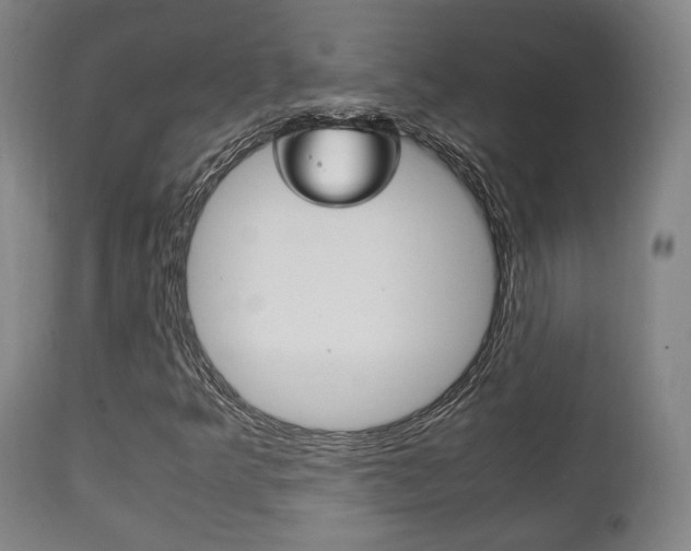X0000111781349200907230940