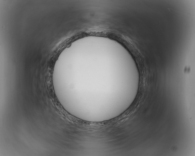 X0000111781350200907230939
