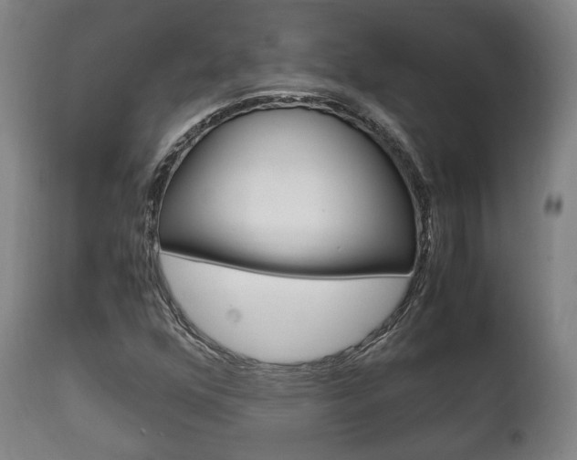 X0000111781352200907230939