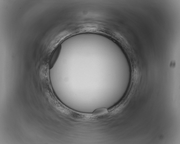 X0000111781353200907230939