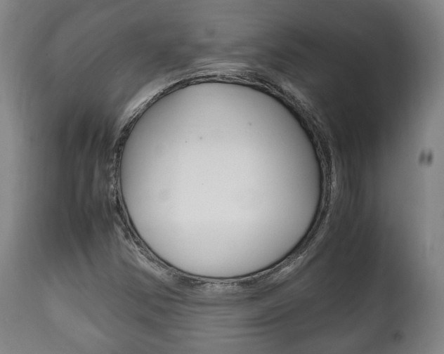 X0000111781354200907230939