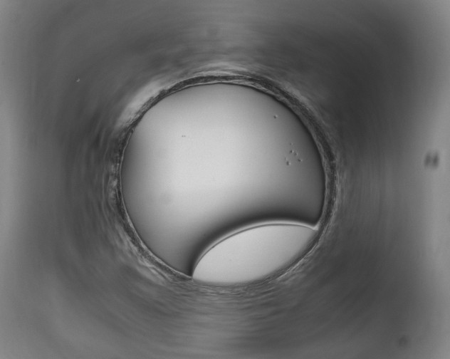 X0000111781355200907230939