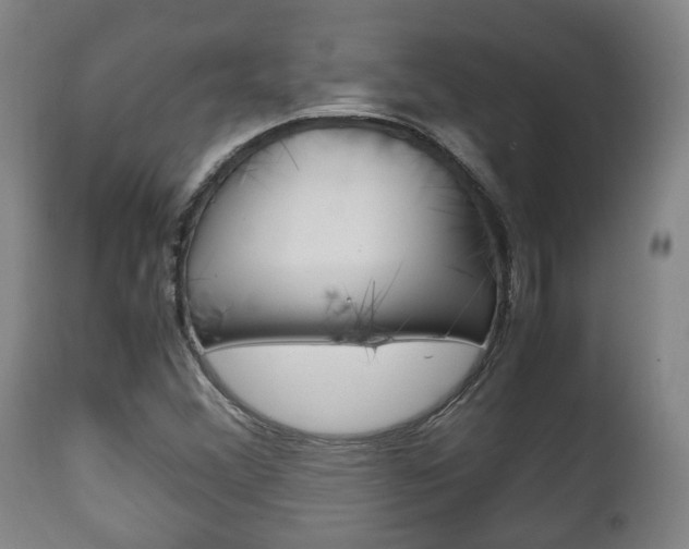 X0000111781356200907230939