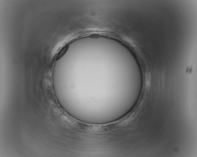 X0000111781357200907230939