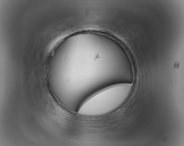 X0000111781359200907230939