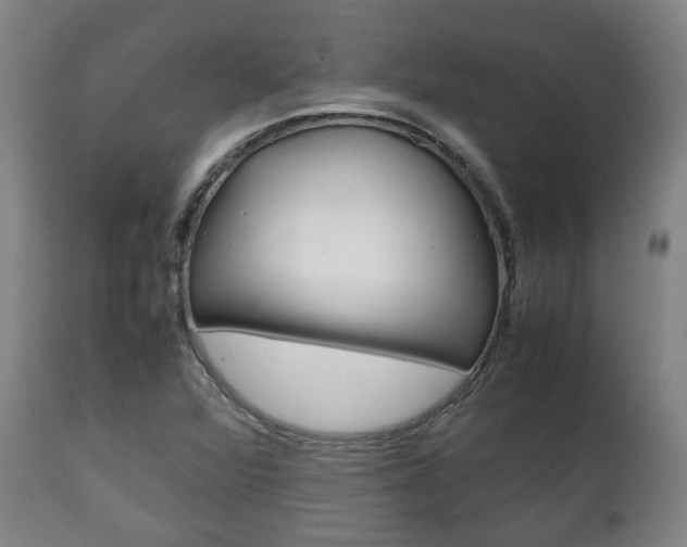 X0000111781360200907230939