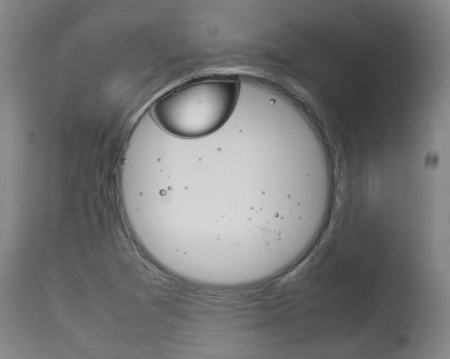 X0000111781361200907230939
