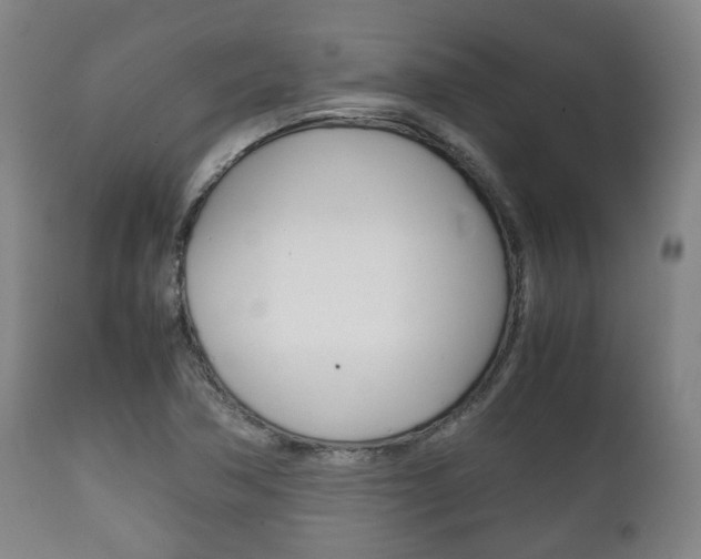 X0000111781362200907230939