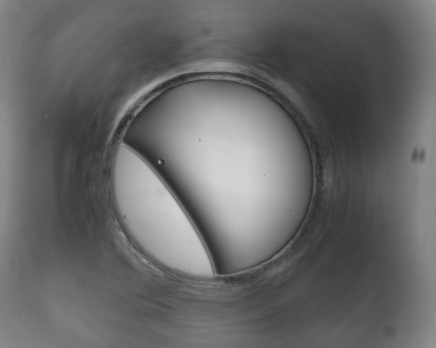 X0000111781364200907230939