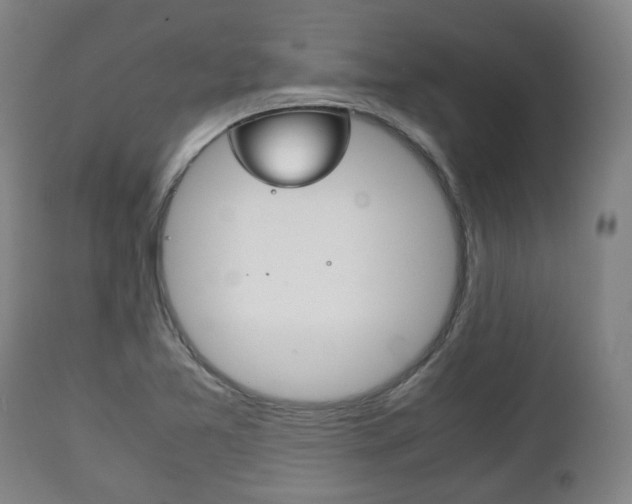 X0000111781365200907230939