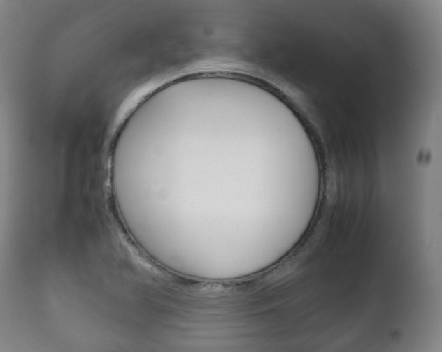 X0000111781366200907230939