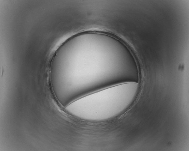 X0000111781367200907230939