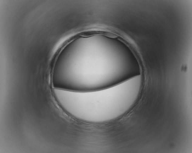 X0000111781368200907230939