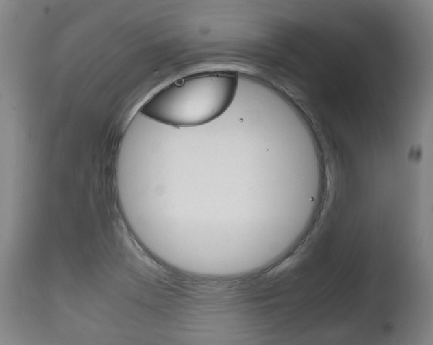 X0000111781369200907230939