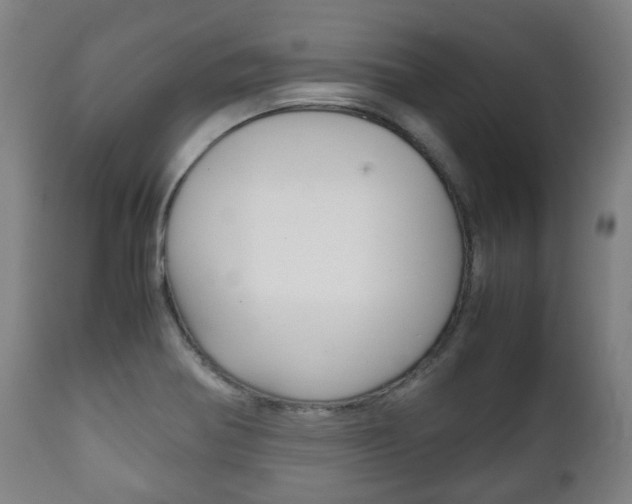 X0000111781370200907230939