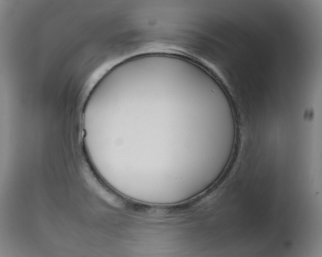 X0000111781371200907230939