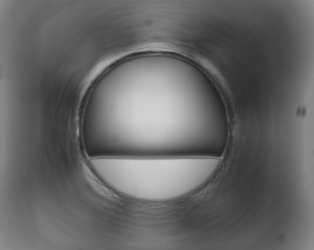 X0000111781372200907230939
