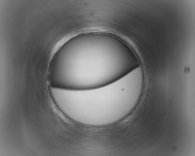 X0000111781373200907230939