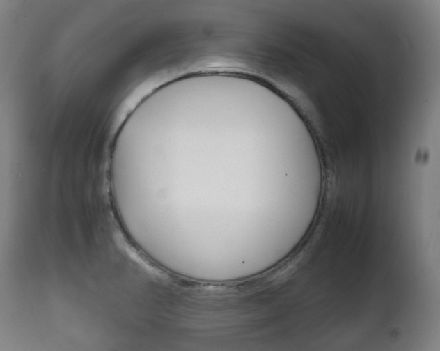 X0000111781374200907230939