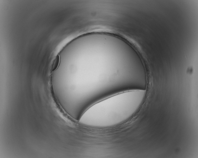 X0000111781375200907230939
