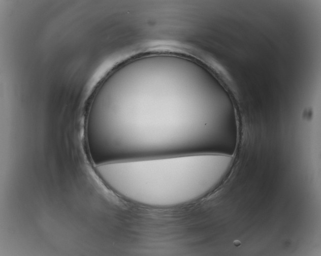 X0000111781376200907230939