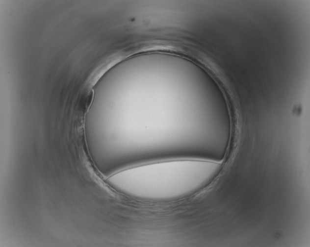 X0000111781377200907230939
