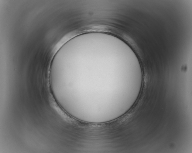 X0000111781378200907230939