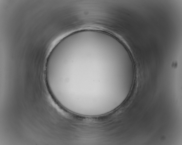 X0000111781379200907230939