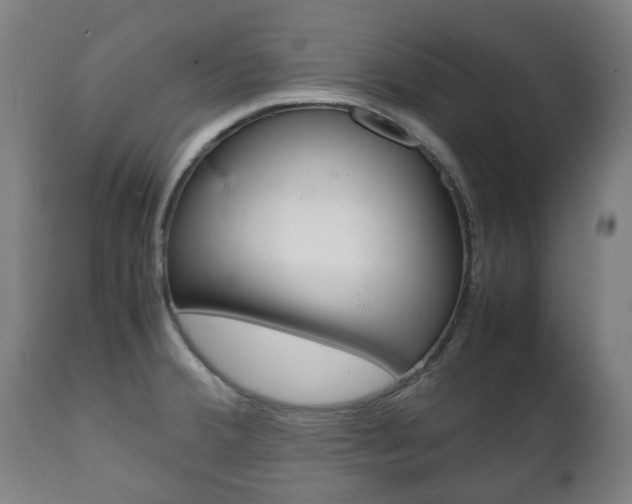 X0000111781380200907230939
