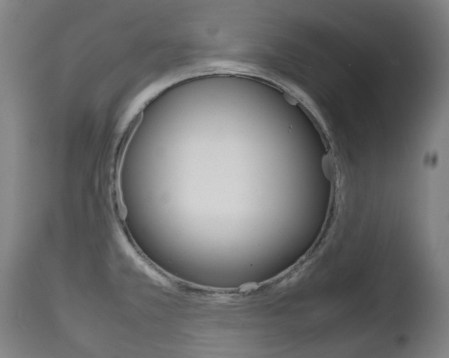 X0000111781381200907230939