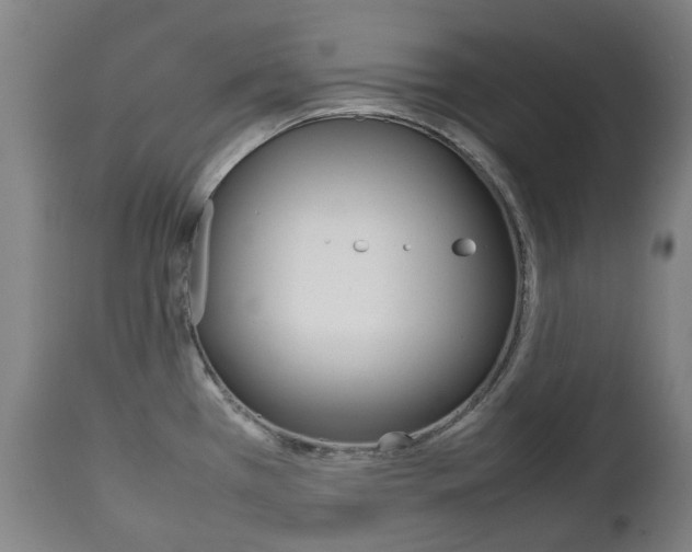 X0000111781385200907230939