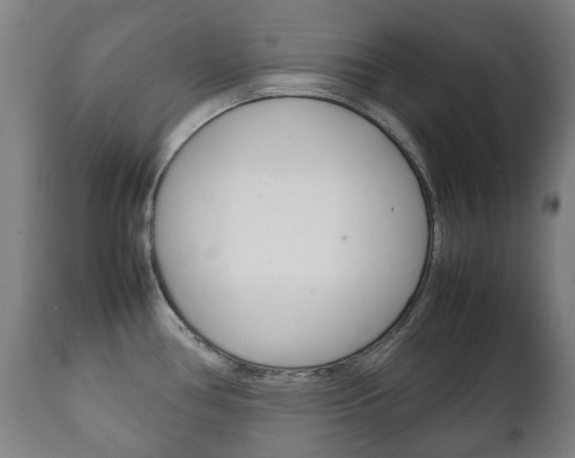 X0000111781386200907230939