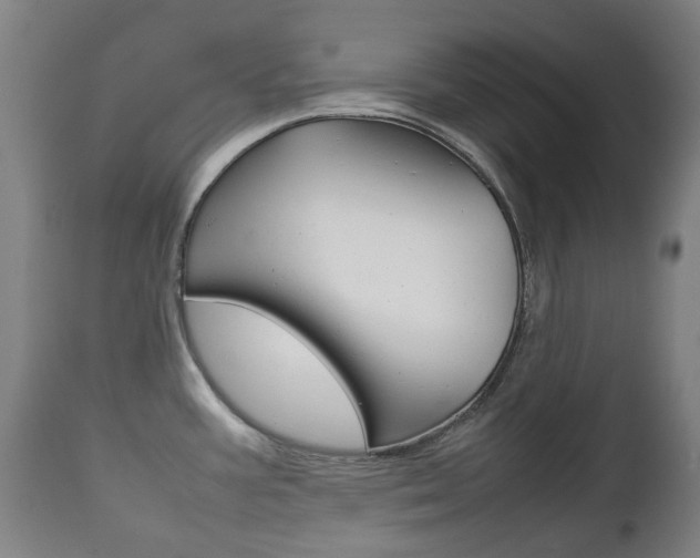 X0000111781387200907230939