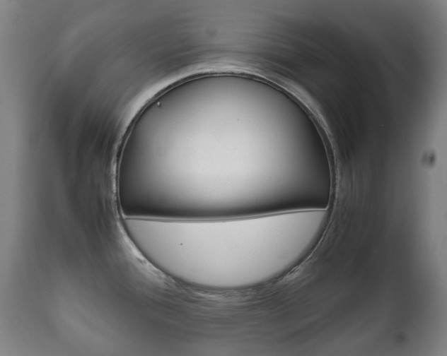 X0000111781388200907230939