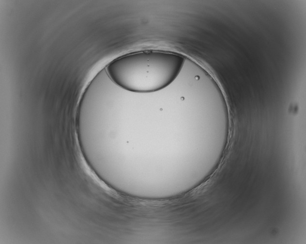 X0000111781389200907230939