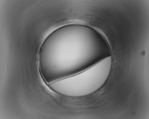 X0000111781391200907230939