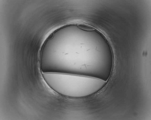 X0000111781392200907230939