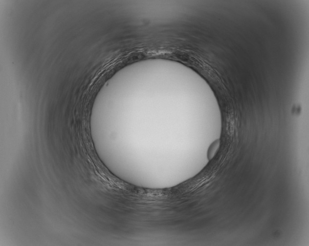 X0000111781393200907230938