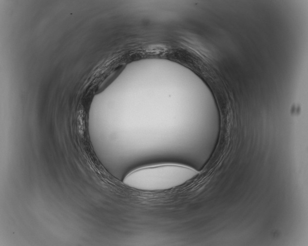 X0000111781394200907230938