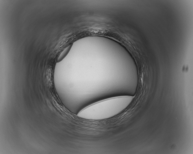 X0000111781396200907230938